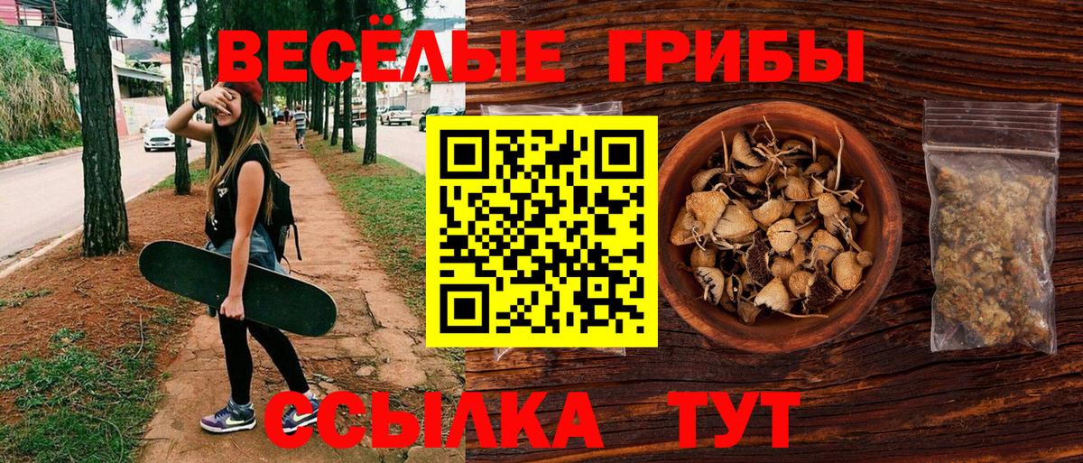 купить наркоту  Галлюциногенные грибы Psilocybine cubensis  Галлюциногенные грибы Psilocybe  Вход с VPN  Калининград 